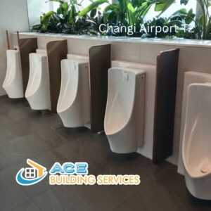 toilet bowl urinal